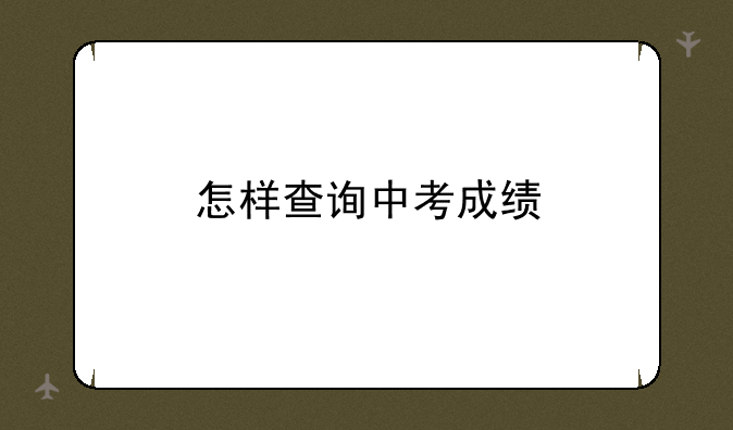 怎样查询中考成绩