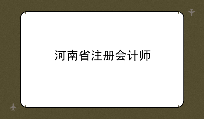 河南省注册会计师