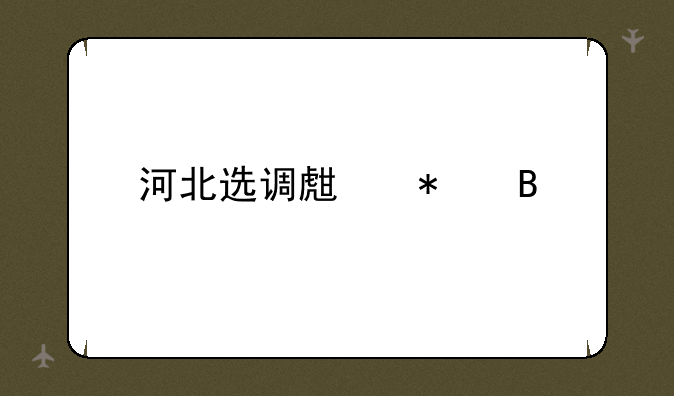 河北选调生报名