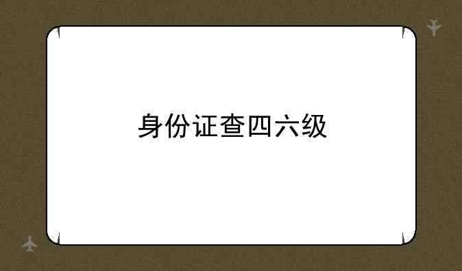 身份证查四六级