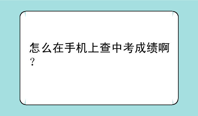 怎么在手机上查中考成绩啊？