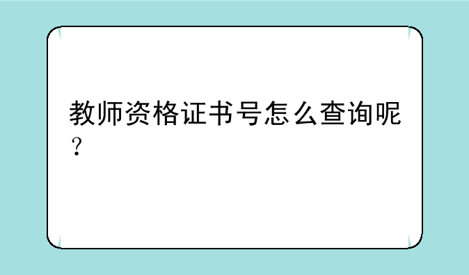 教师资格证书号怎么查询呢？