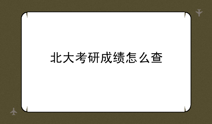 北大考研成绩怎么查