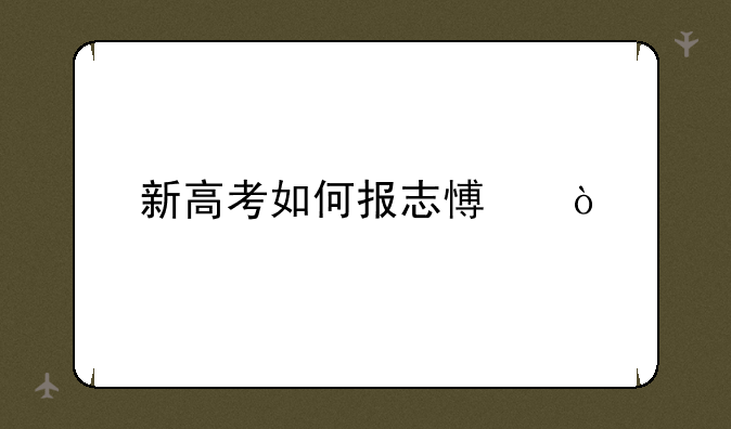 新高考如何报志愿？