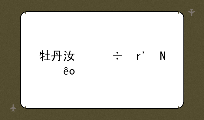 牡丹江都有哪些大学