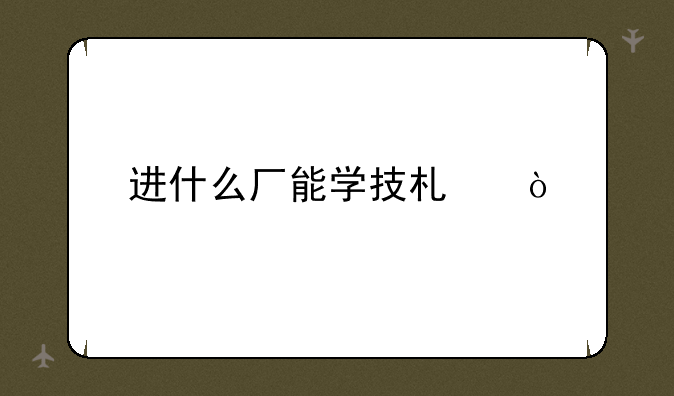进什么厂能学技术？
