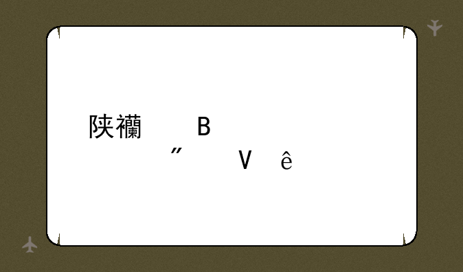 陕西理工大学分数线