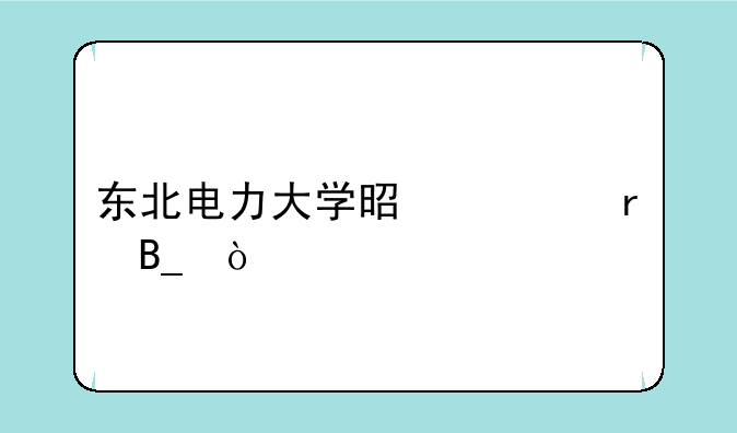 东北电力大学是一本吗？