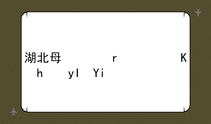 湖北每年在广东招生多吗