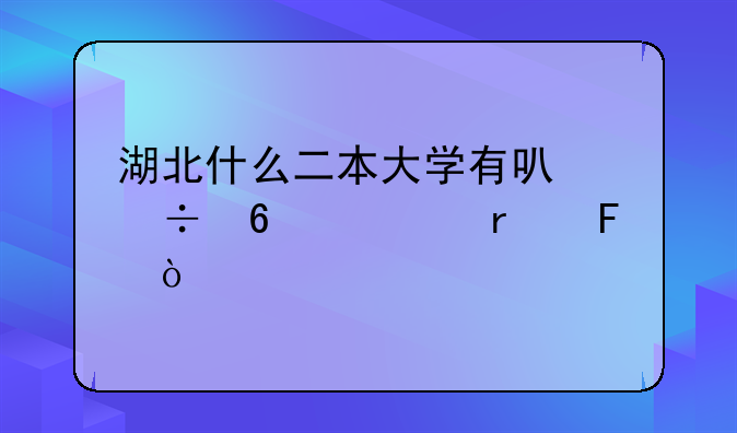湖北什么二本大学有可能升一本呢？