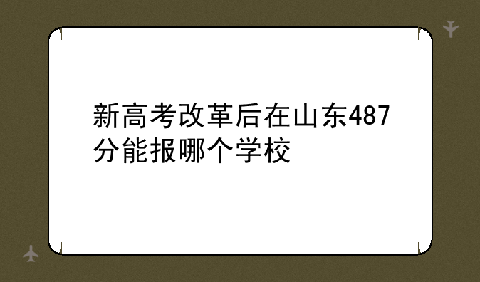 新高考改革后在山东487分能报哪个学校