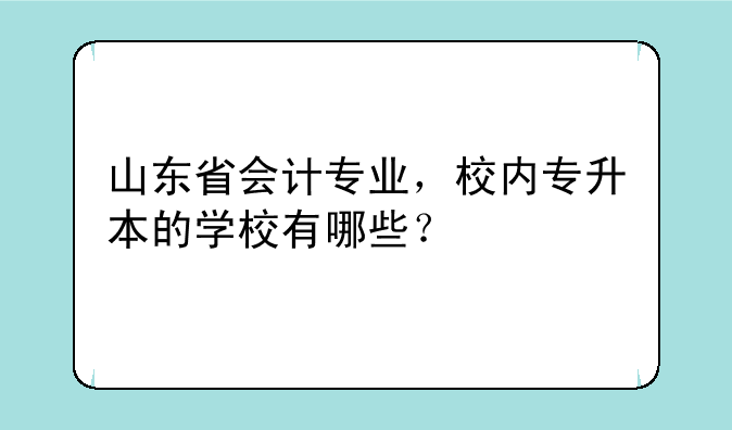山东省会计专业，校内专升本的学校有哪些？